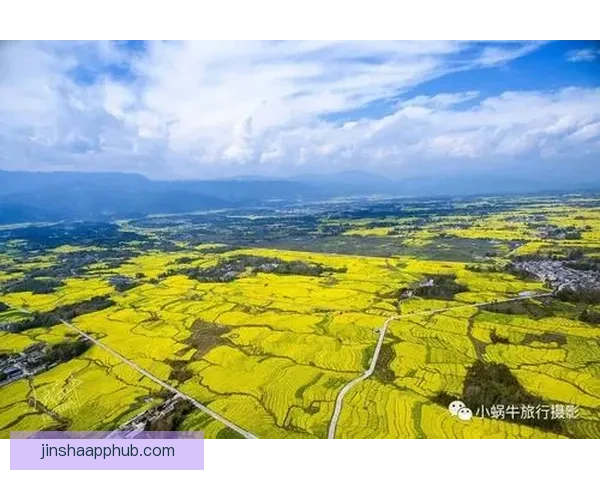 金沙体育竞猜平台全新升级为用户带来更加智能便捷的在线投注体验